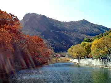 新澳门二四六天天彩，站群模板